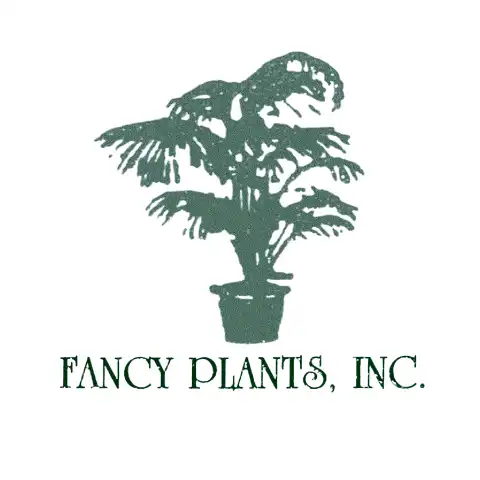 Fancy Plants